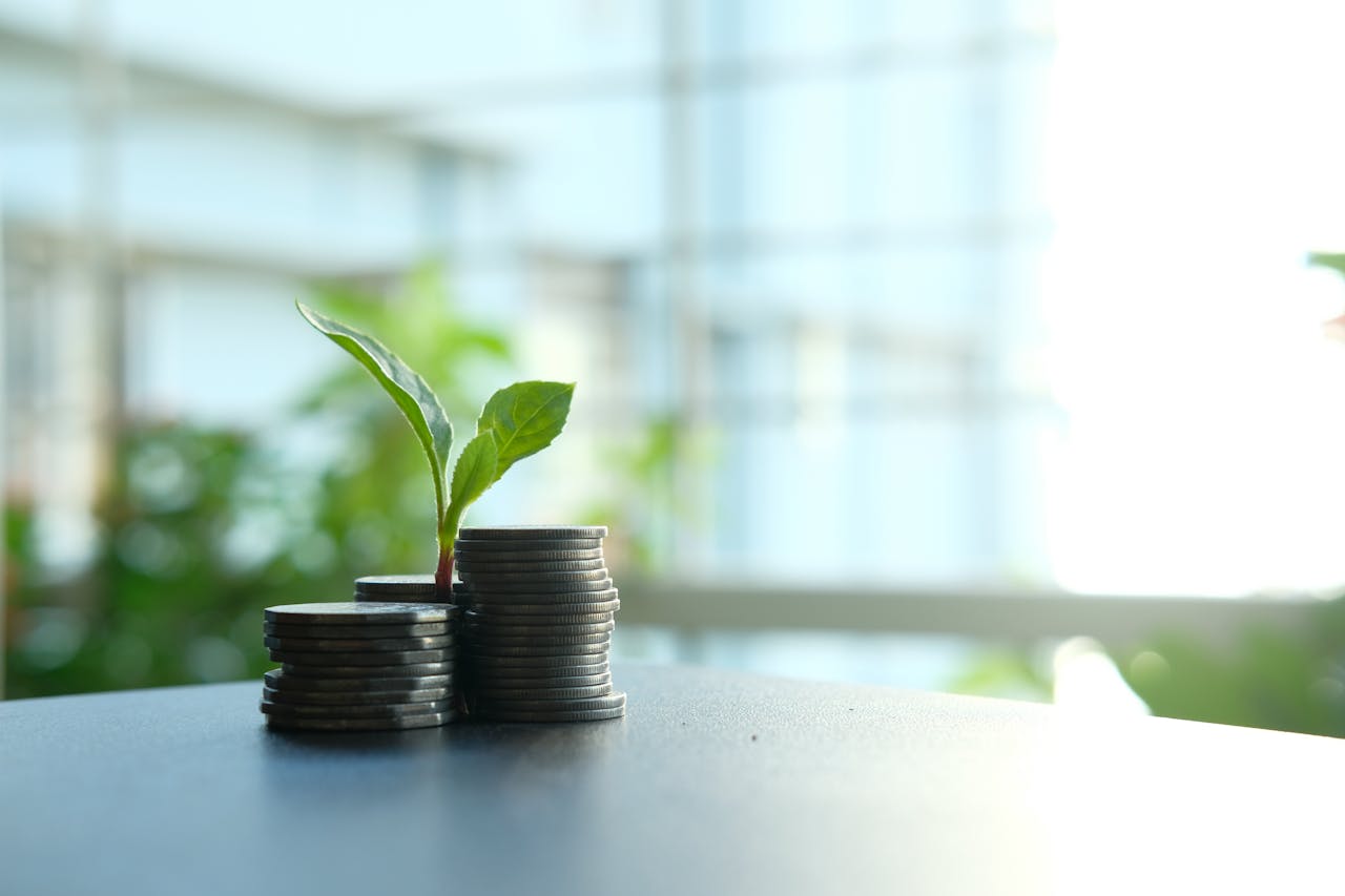Uma pequena planta brotando de moedas de prata empilhadas, simbolizando crescimento financeiro.
