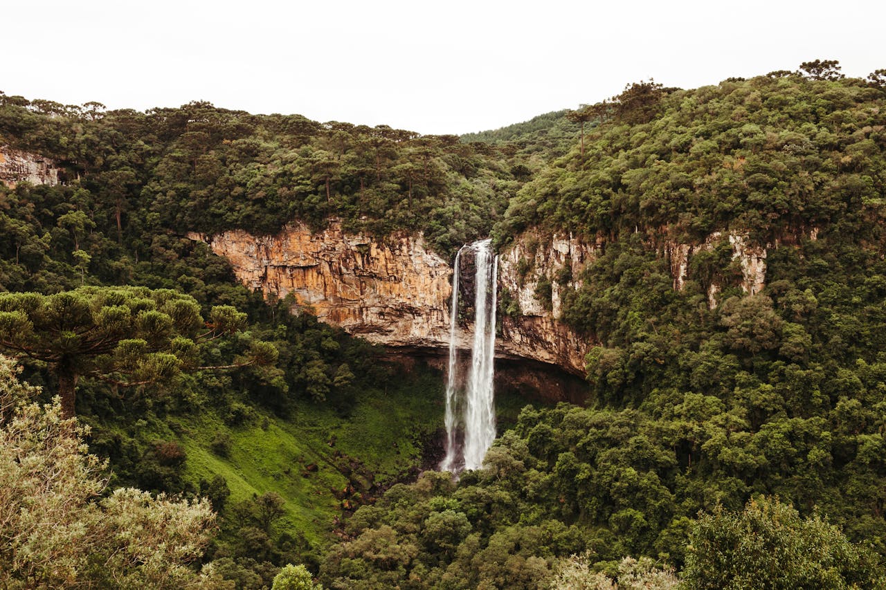 Vista majestosa da Cachoeira do Caracol cercada por uma floresta verde exuberante na Serra Gaúcha do Brasil.