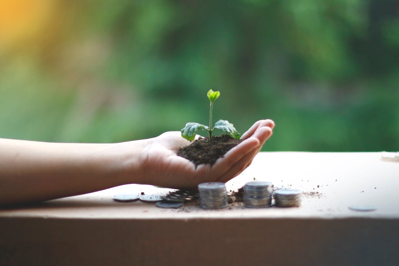 Uma mão ampara uma planta jovem acima de moedas, simbolizando crescimento financeiro e sustentabilidade.